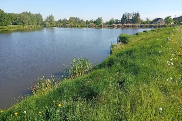 Czyn społeczny nad akwenem w Drozdowicach Małych przeniesiony na piątek