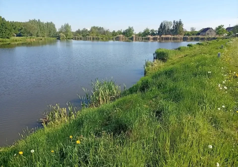 Czyn społeczny nad akwenem w Drozdowicach Małych przeniesiony na piątek
