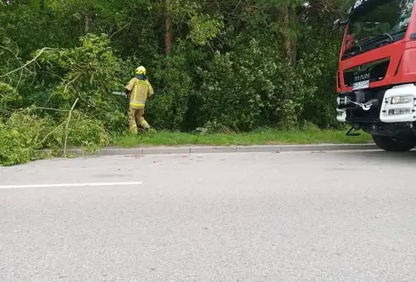 Silny wiatr powalił drzewo na ul. Robotniczej w Grajewie