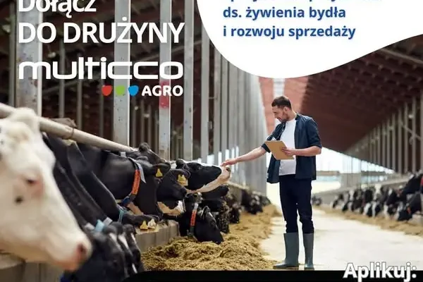 Multicco-Agro szuka specjalisty ds. żywienia bydła – praca mobilna z prowizją