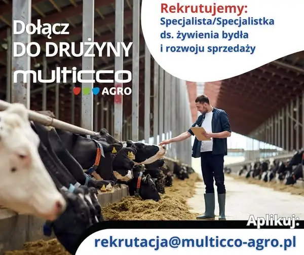 Multicco-Agro szuka specjalisty ds. żywienia bydła – praca mobilna z prowizją