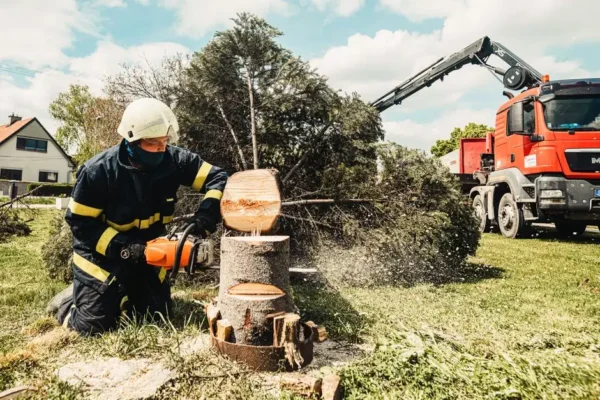 Usuwanie zagrażającego drzewa przy ul. Łomżyńskiej w Szczuczynie